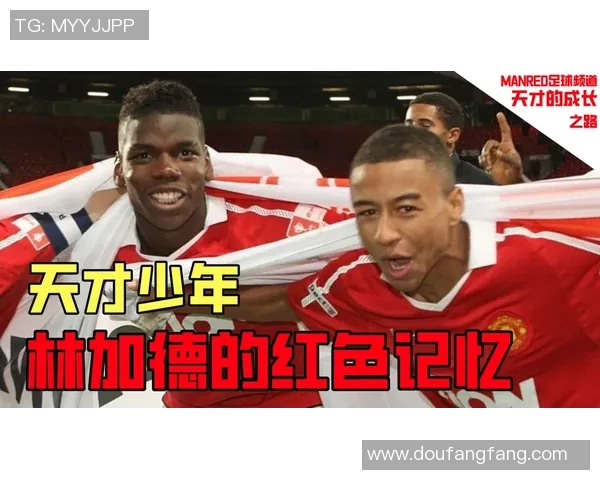 勇士背后的故事:从少年到巨星之路 勇士背后的故事:从少年到巨星之路